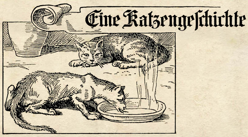 Hungrige Streunerkatze